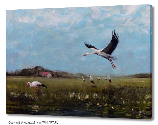 Storks (16x12″)